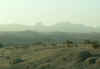 Desert1.jpg (78993 bytes)