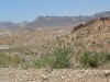 Desert2.jpg (181894 bytes)
