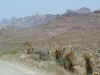 Desert5.jpg (167846 bytes)
