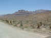 Desert6.jpg (132204 bytes)