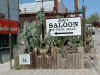 Oatman7.jpg (185347 bytes)