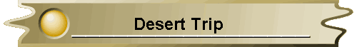 Desert Trip